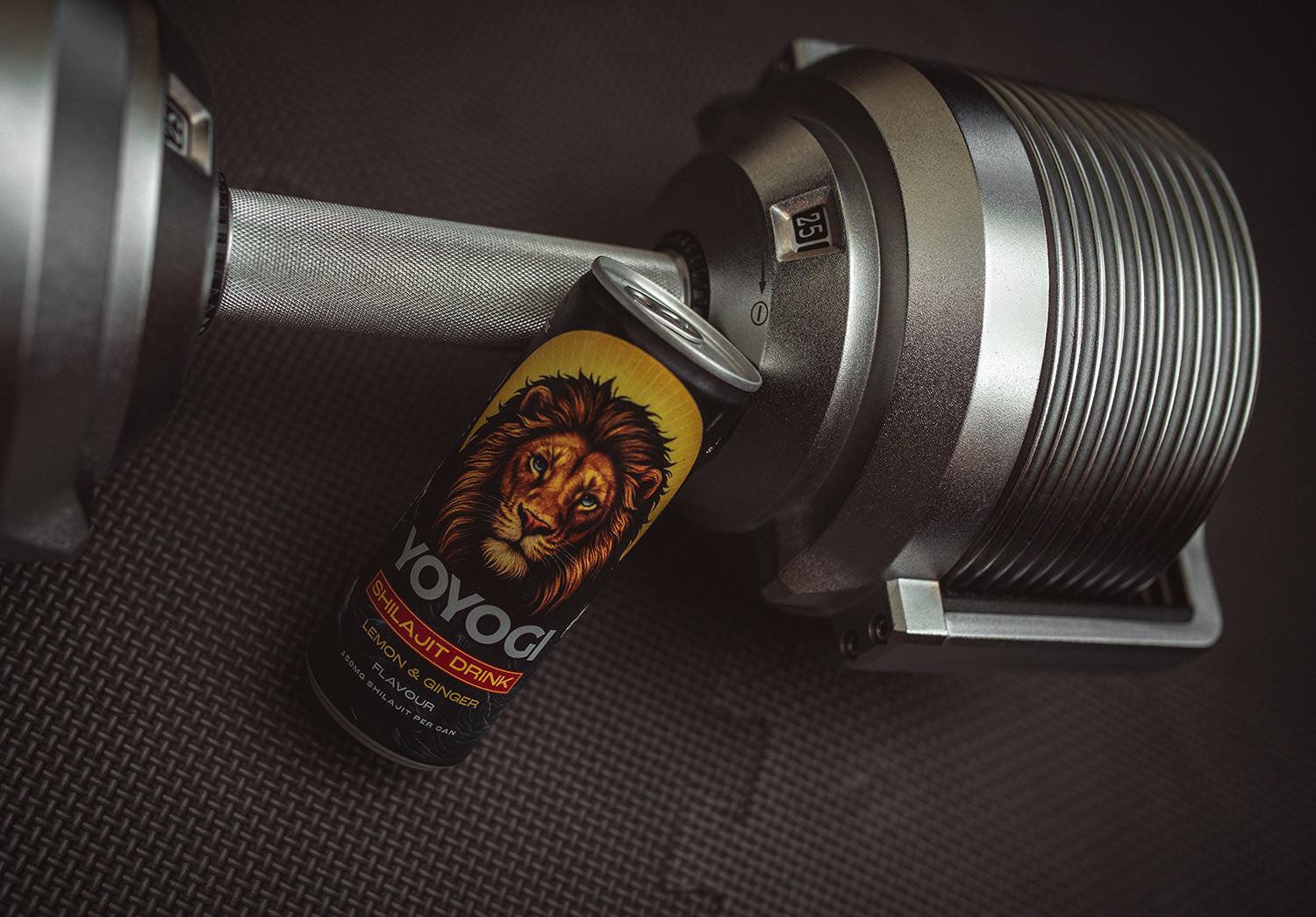 Shilajit - Alternative Pre-workout For A Powerhouse Workout