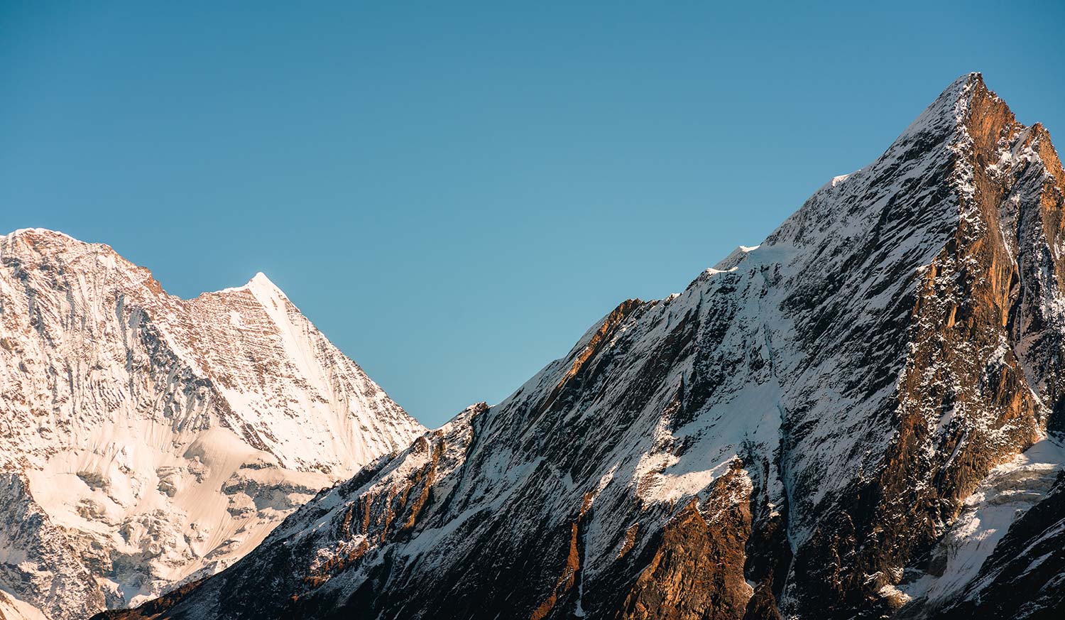 Welcome To YOYOGI Shilajit Drinks